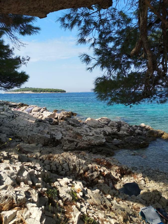 Apartments Villa Sibenik 普利莫顿 外观 照片